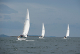 whimbrel 3510c whyw16 tues 800 2619w